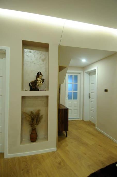 Grandpa House App.1 Apartment Tirana Bagian luar foto